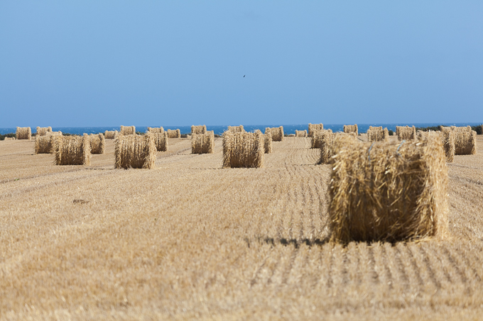 Ireland Aug 2014 (06)